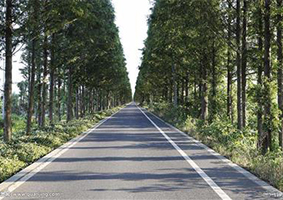 微山县林业局林场道路建设项目