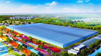 平阴县农业智能温室连栋大棚建设